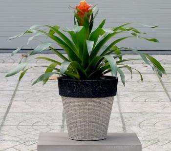 Plastic planter LTPL 2012