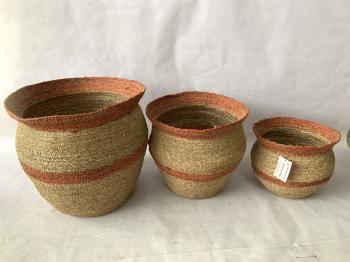 COTTON BASKET LTD2322